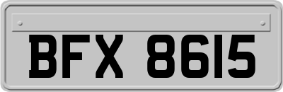 BFX8615