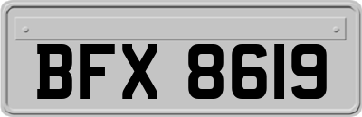 BFX8619