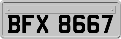 BFX8667