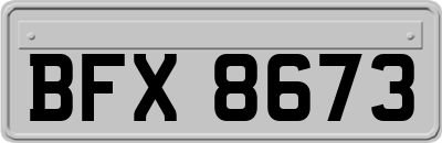 BFX8673