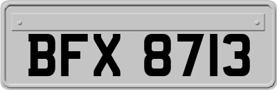 BFX8713