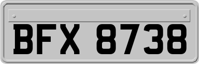 BFX8738