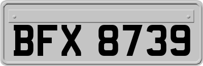 BFX8739
