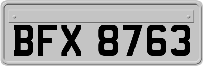 BFX8763