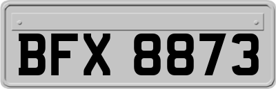 BFX8873