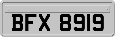 BFX8919