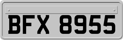 BFX8955
