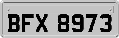 BFX8973
