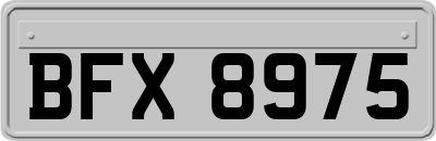 BFX8975
