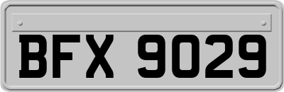 BFX9029