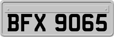 BFX9065