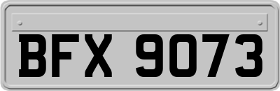 BFX9073
