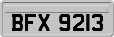 BFX9213