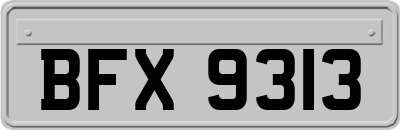 BFX9313