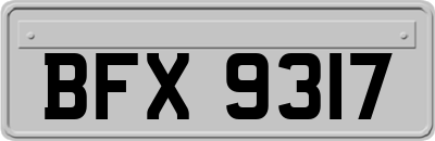 BFX9317