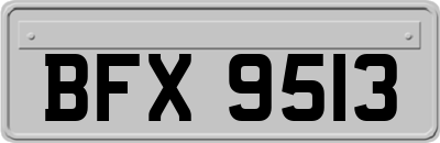 BFX9513