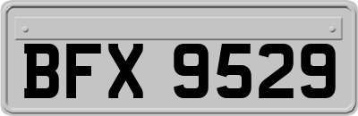 BFX9529