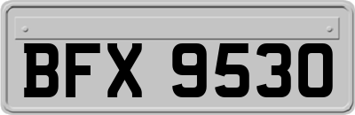 BFX9530