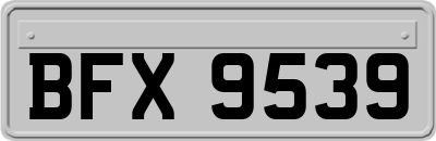 BFX9539