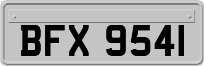 BFX9541