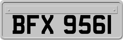 BFX9561