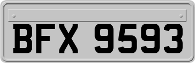 BFX9593