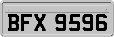 BFX9596
