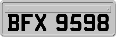 BFX9598