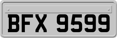 BFX9599