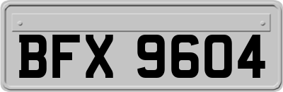 BFX9604