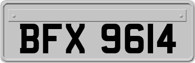 BFX9614