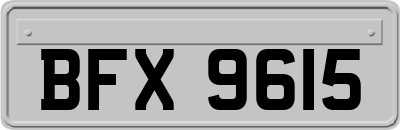 BFX9615
