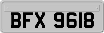 BFX9618