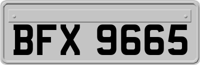 BFX9665