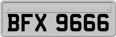 BFX9666