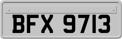 BFX9713