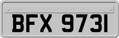 BFX9731