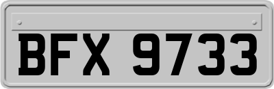 BFX9733