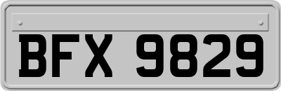 BFX9829