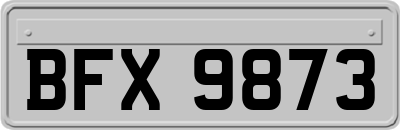 BFX9873