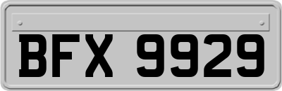 BFX9929