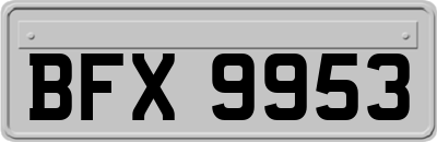 BFX9953