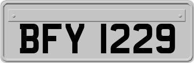 BFY1229