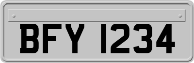 BFY1234