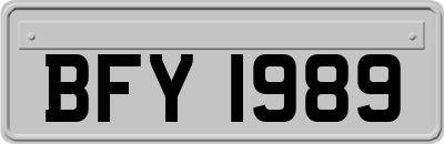 BFY1989