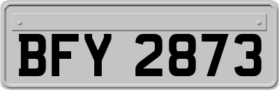 BFY2873