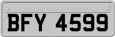 BFY4599