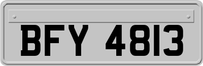 BFY4813