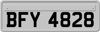 BFY4828