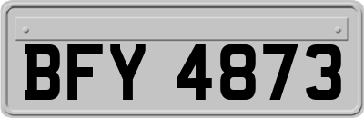 BFY4873
